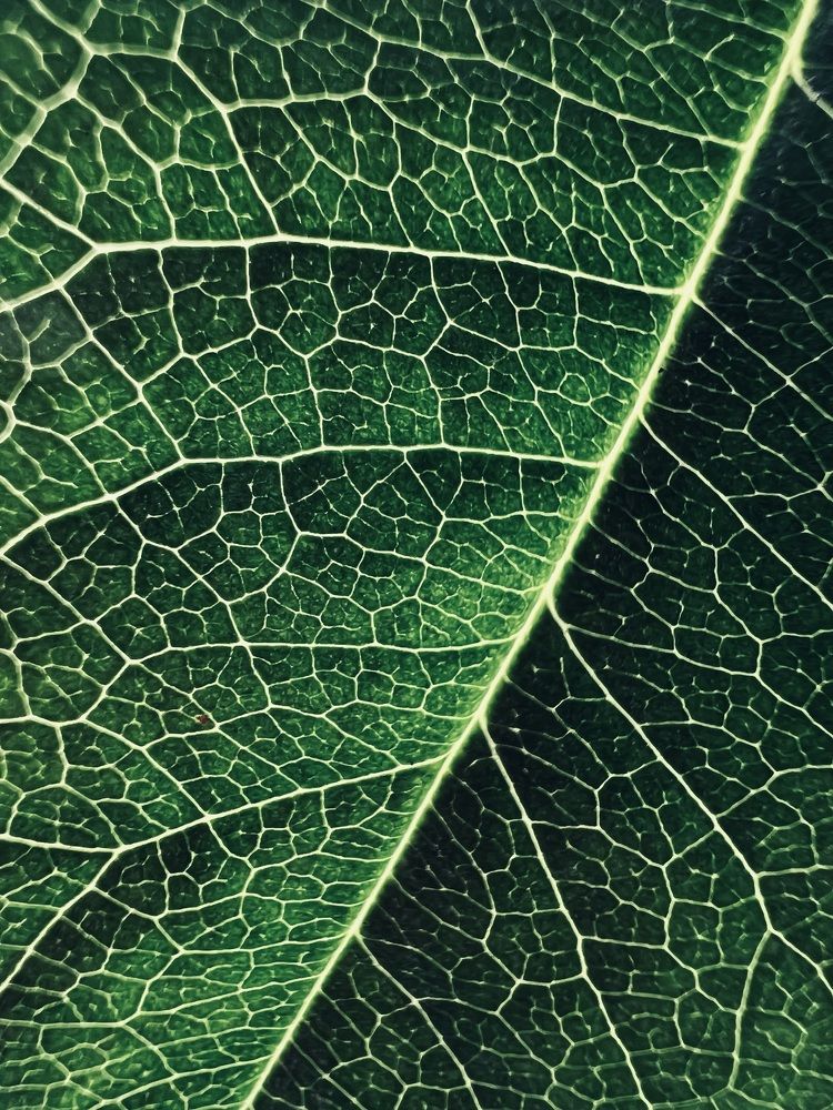 Фотография автора Александра Евченко