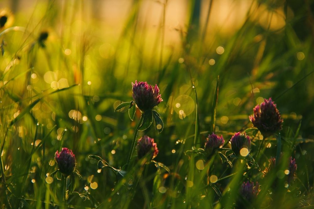 На рассвете