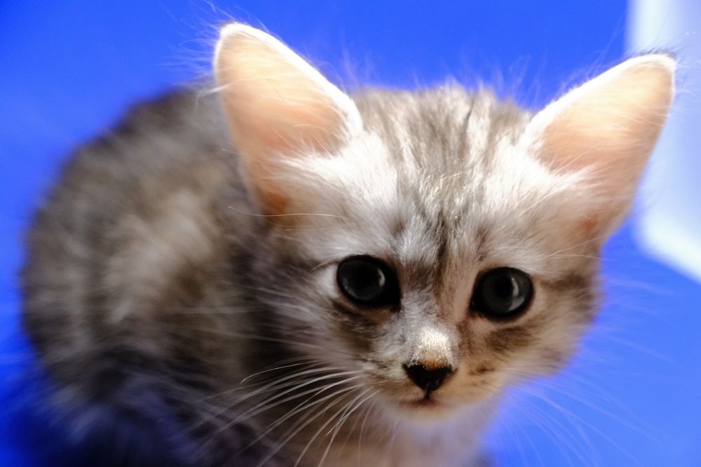 Photograph by Василий Мартынов