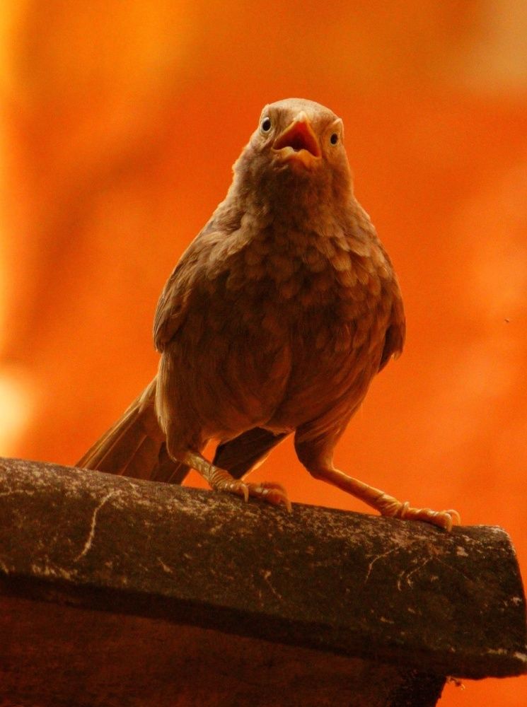 Photograph by SARAVANA MANICKAM