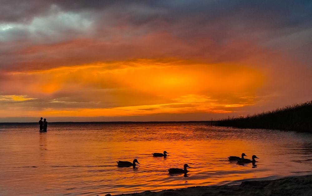 Photograph by Алёна Пшеленская