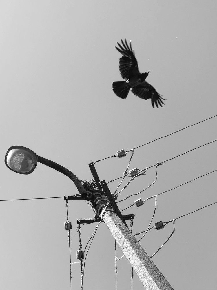 Photograph by Inna Sknara