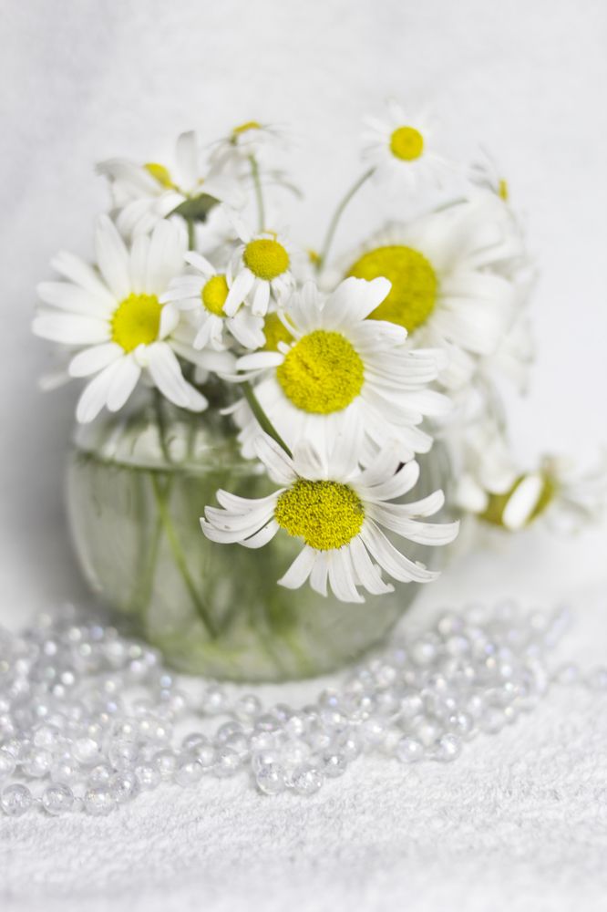 Photograph by Татьяна Шахматова