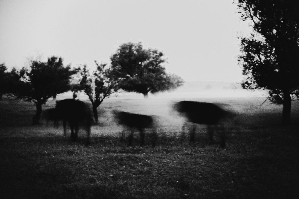 жители тюпа