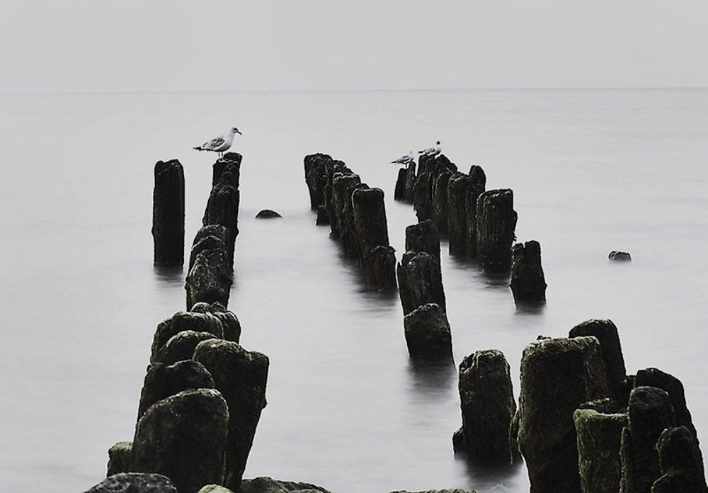 Photograph by Радмила