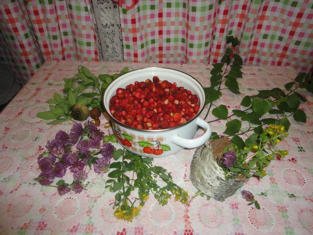 Дары Лесовичка.