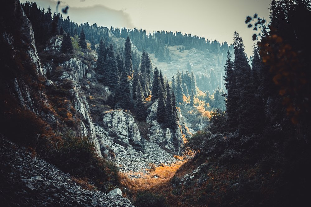 Казахстан \ Алматы \ Бутаковка