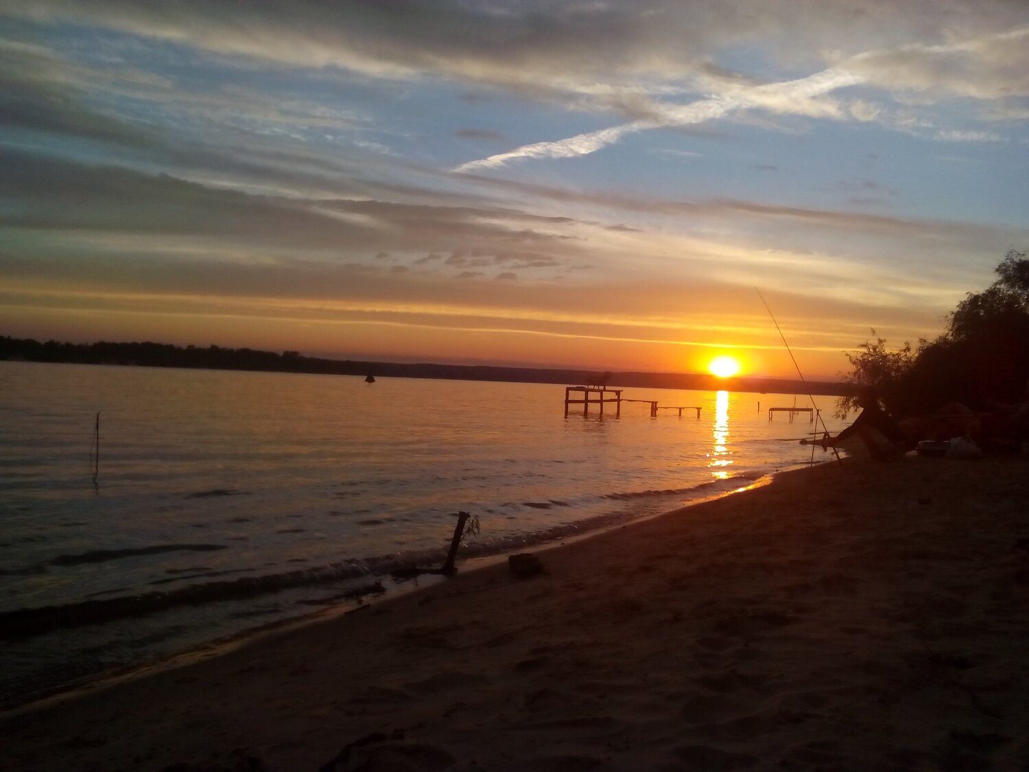 Photo #950894
