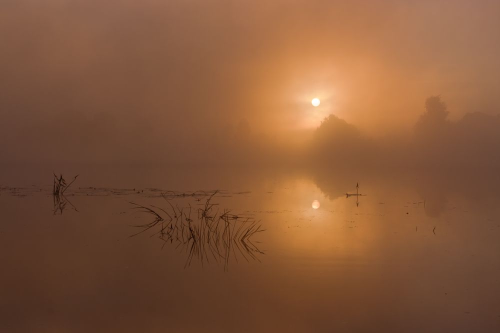 Рассветные цвета