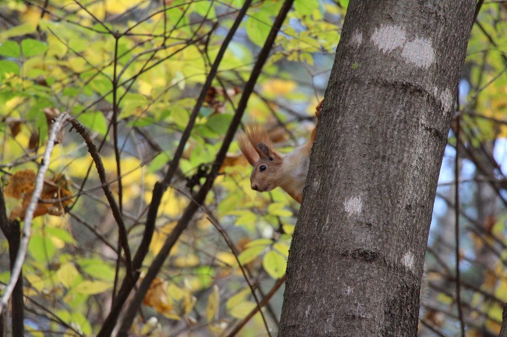 Photograph by Светлана