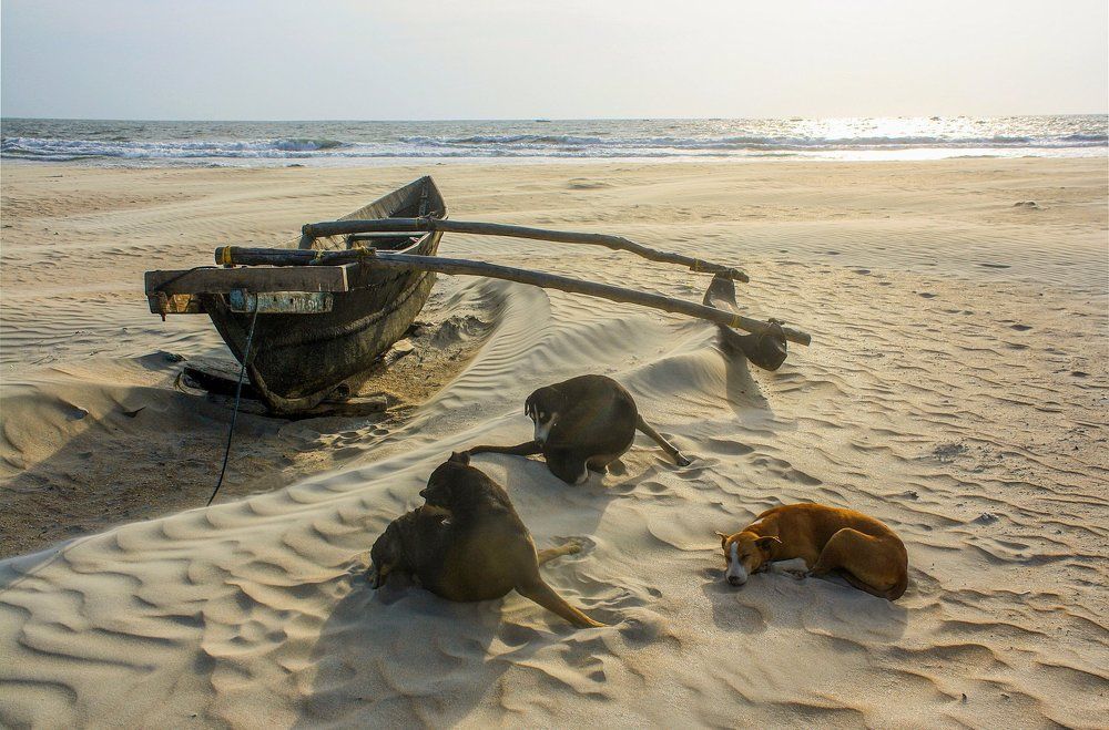 ...ждём прилива....