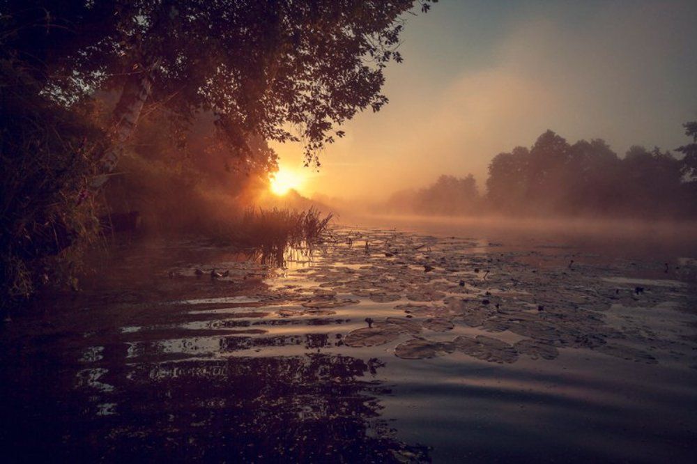 Туманный рассвет на реке Сестра.