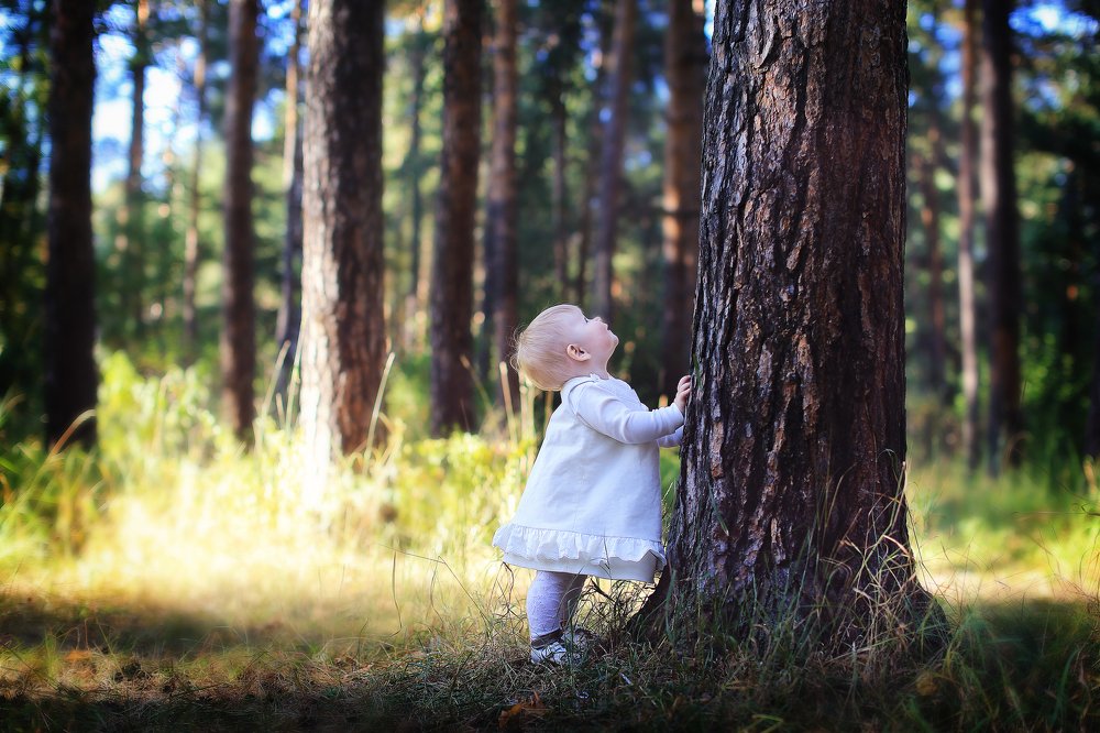 Когда деревья были большими