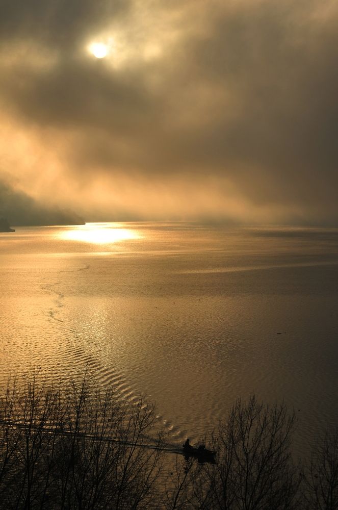 Foggy Morning  On Danube