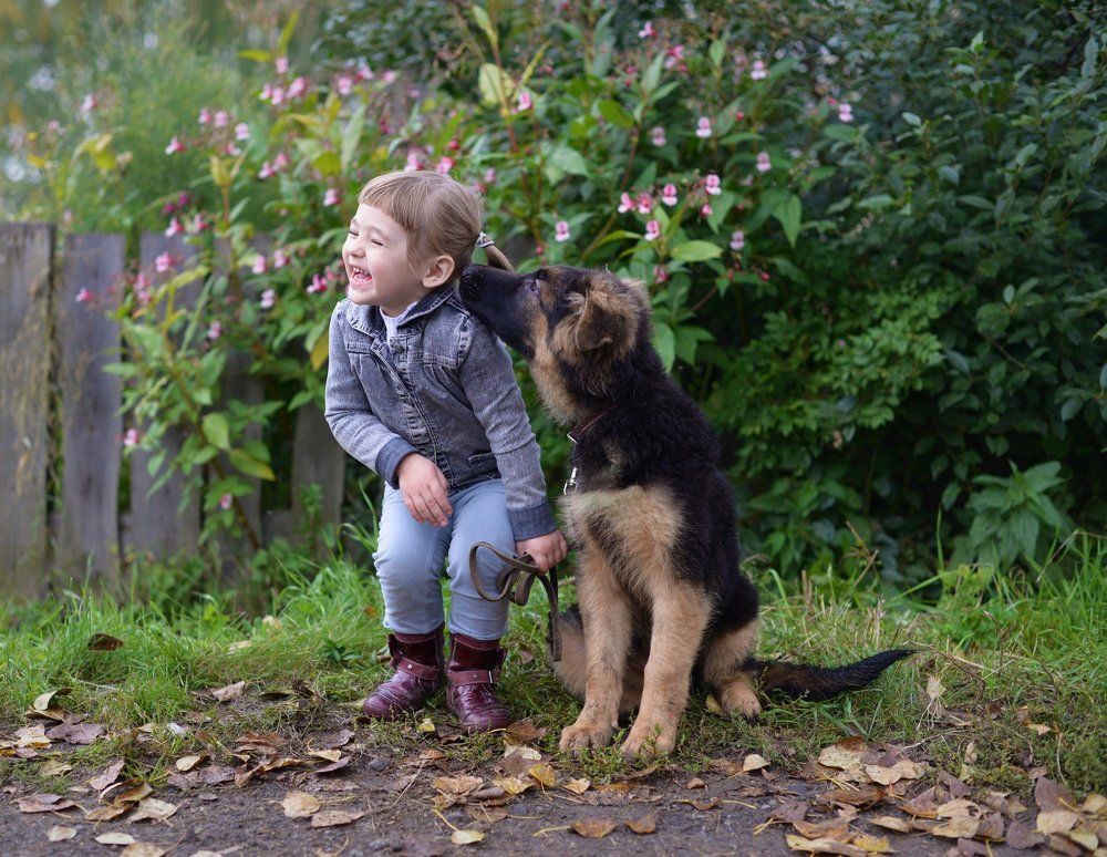 смешной рассказ