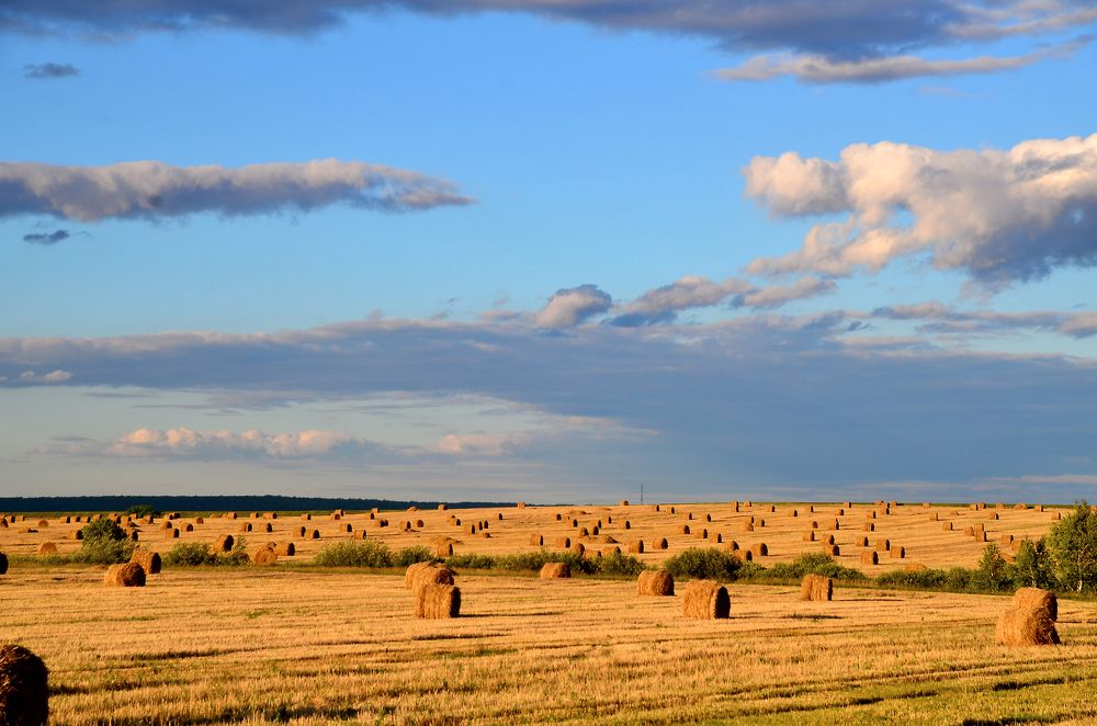 на закате...