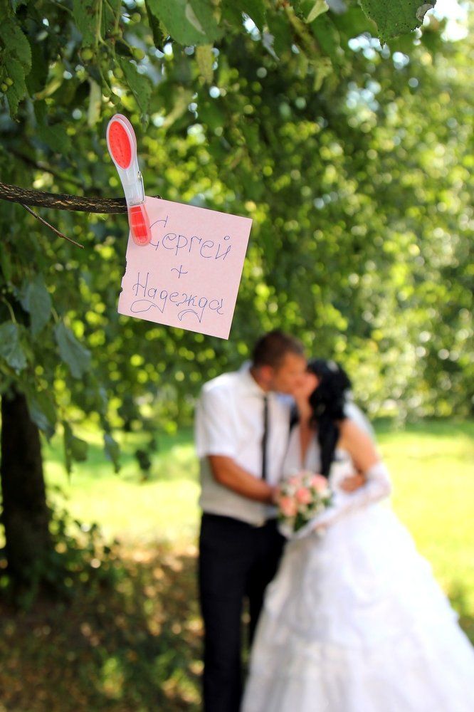 Свадьба молодых