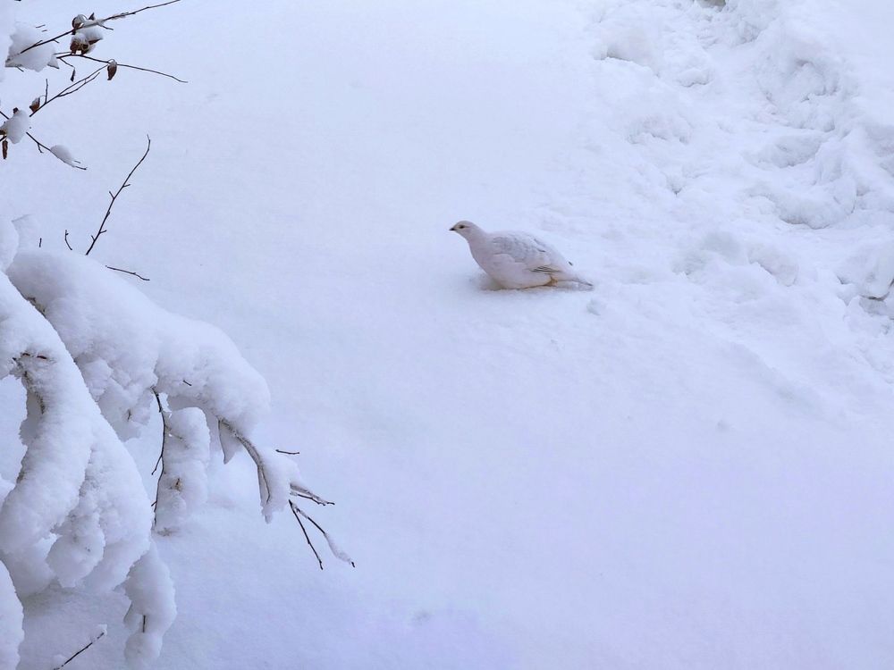 Photograph by JONATHAN VALDEZ