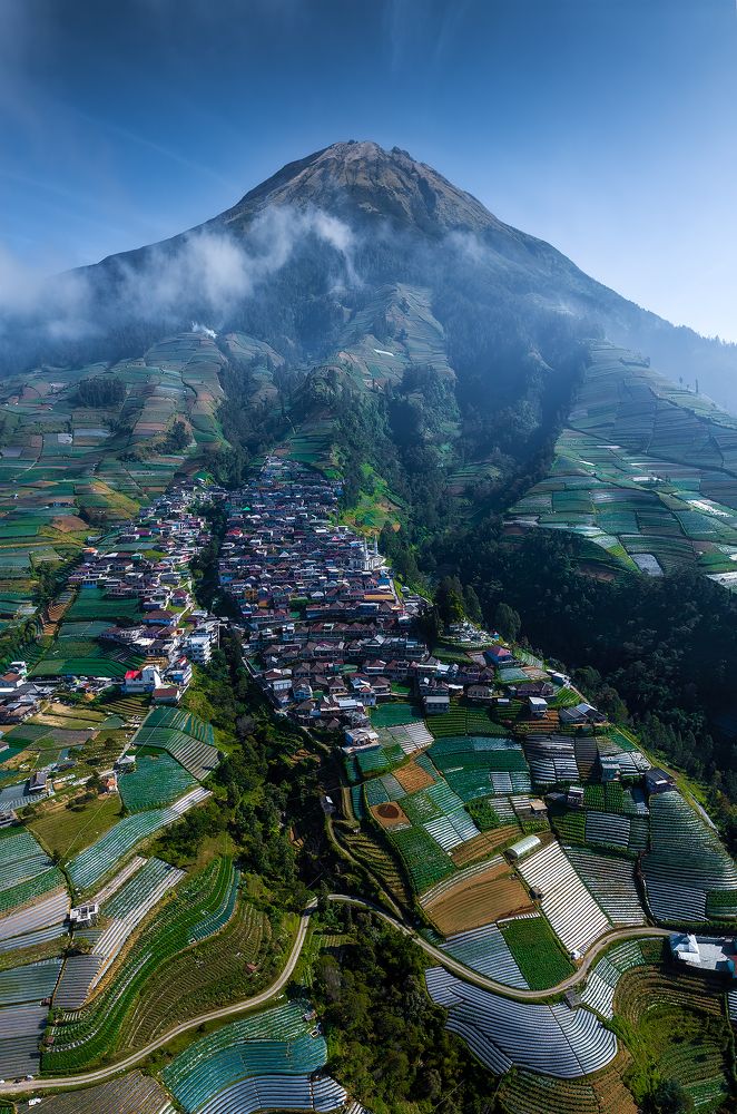 Photograph by Viet Nguyen Ho