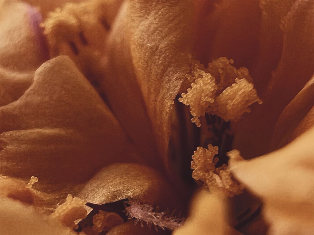 Фотография автора Александра Евченко