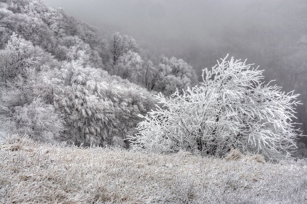 Photograph by Евгений Самулев