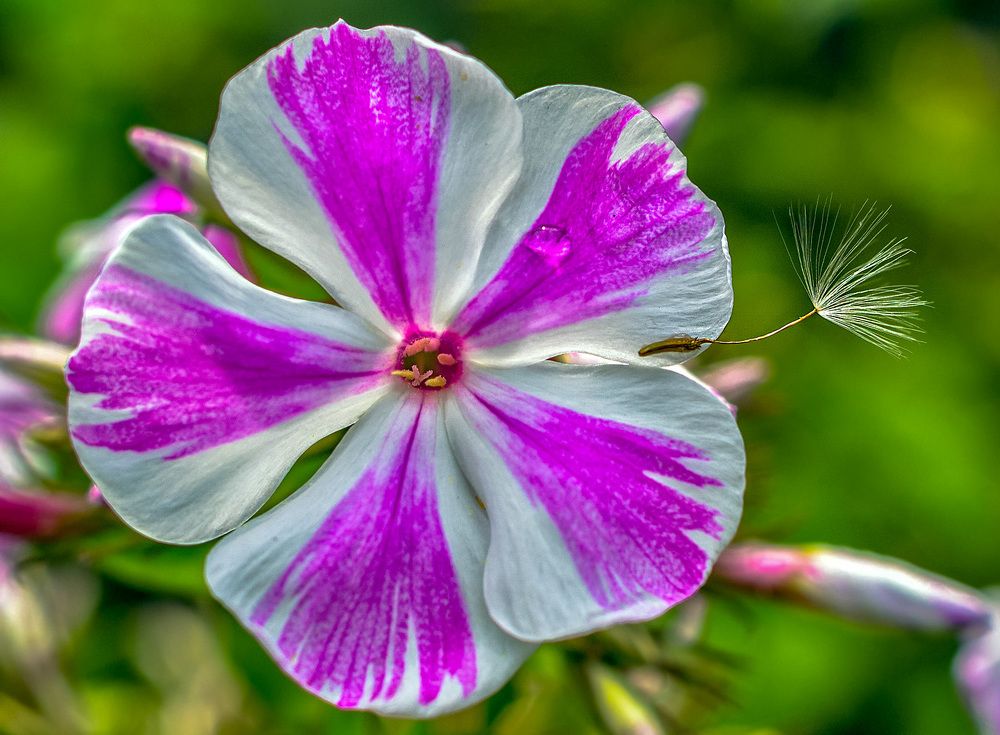 Будь, как ветер!