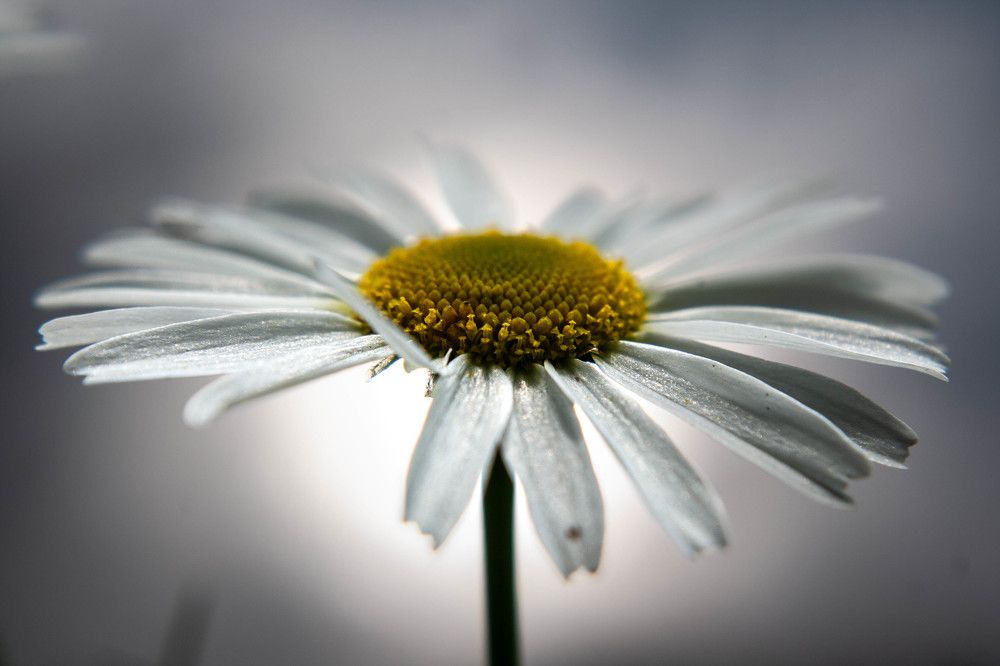 Фотография автора Ирина Гриценко