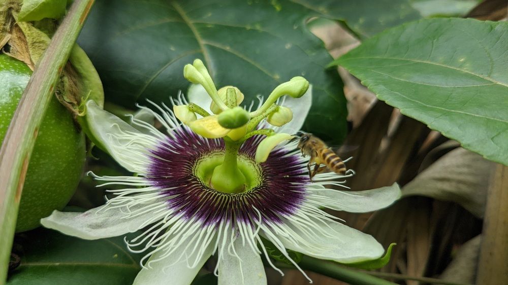 Фотография автора Ganesh Varma