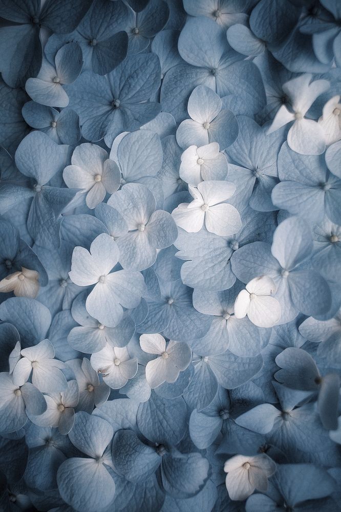 Photograph by Ирина Дерда