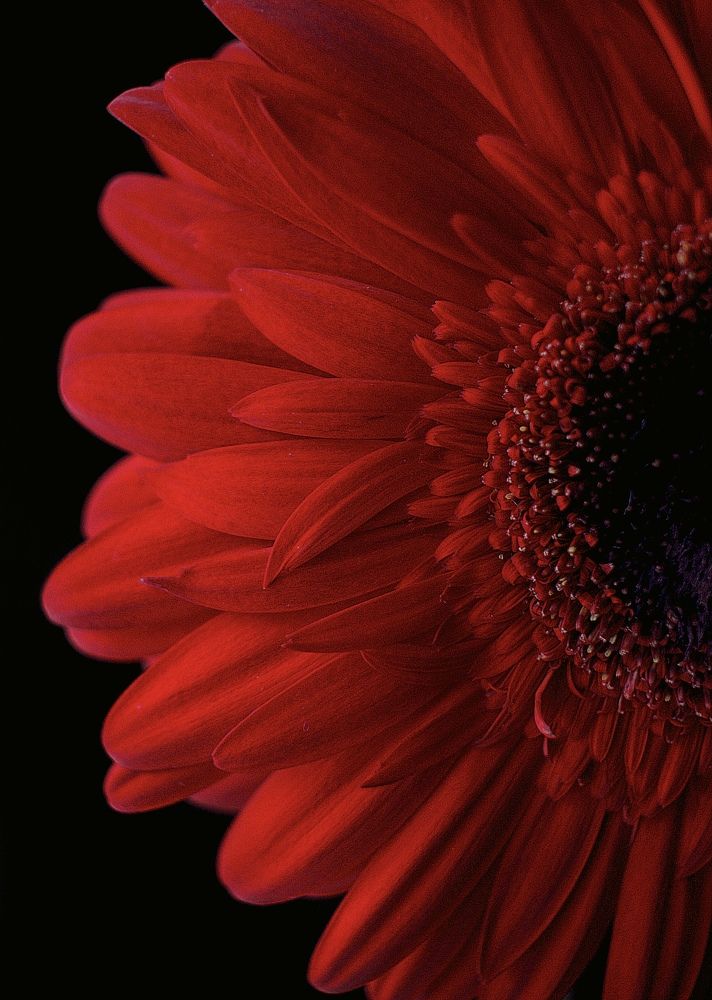 Photograph by Ирина Дерда