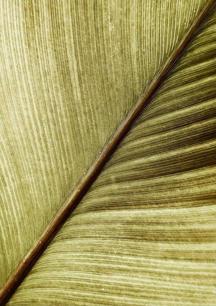 Photograph by Ирина Дерда