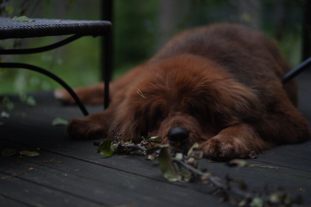 Photograph by Liubov Lagutina