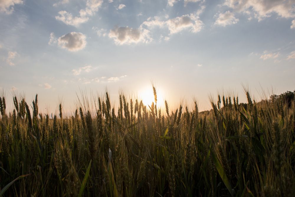 Photograph by Яна Кисловская