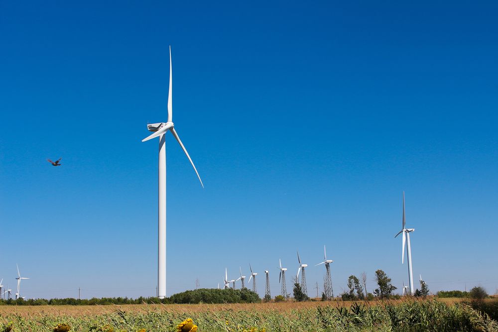 Photograph by Яна Кисловская