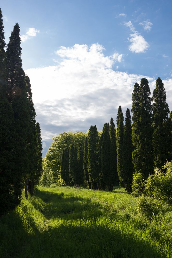 Photograph by Яна Кисловская