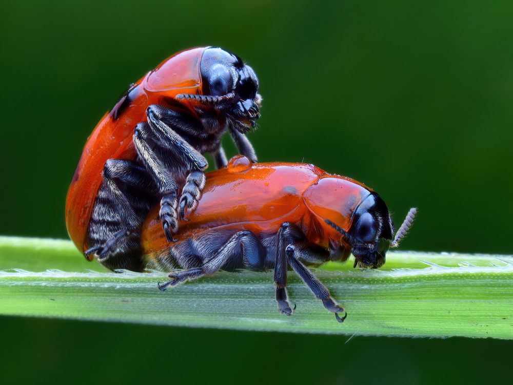 Photograph by Chen-You Li