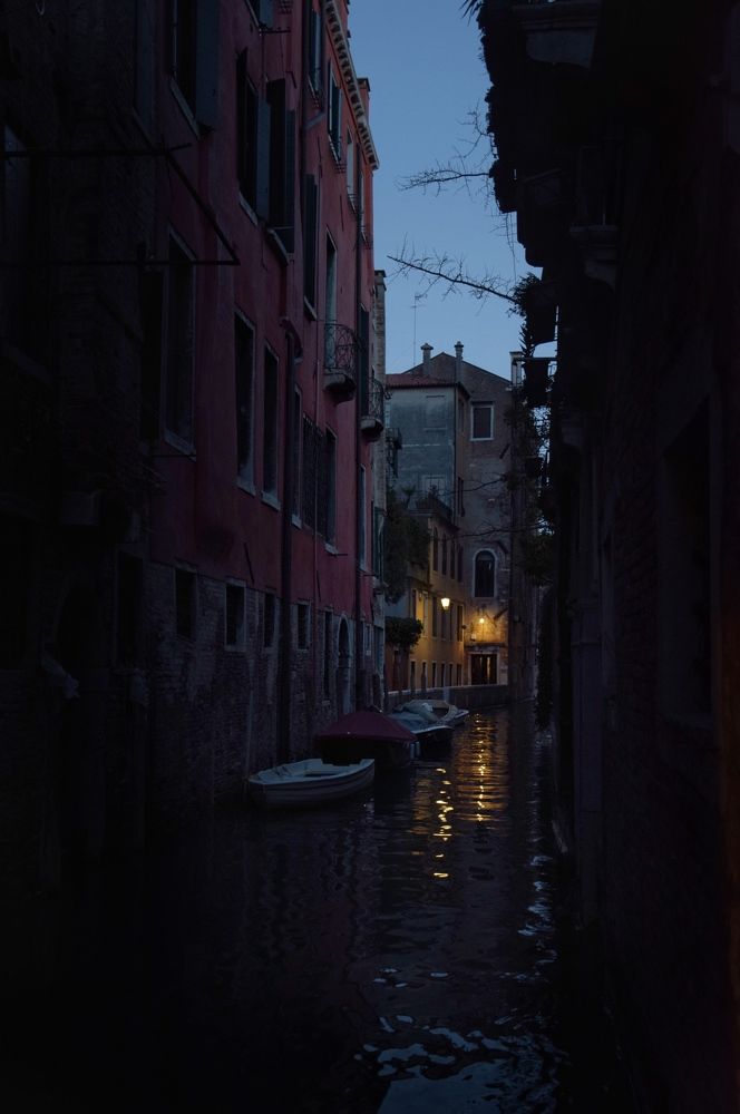 Photograph by smirnova sofya