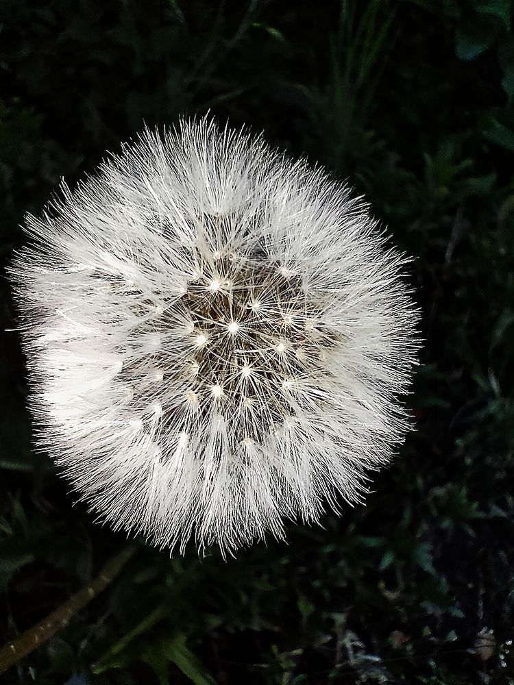 Photograph by Елизавета Карюченко