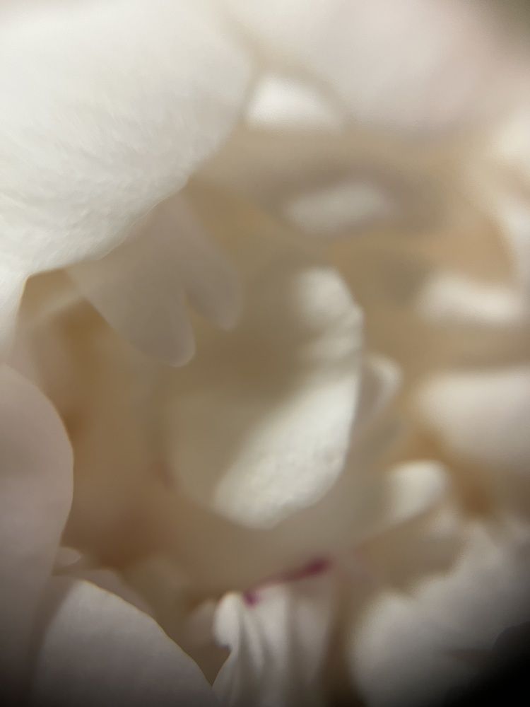 Photograph by Максим Зенкевич