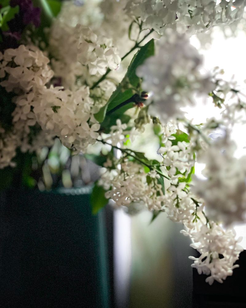 Photograph by Максим Зенкевич