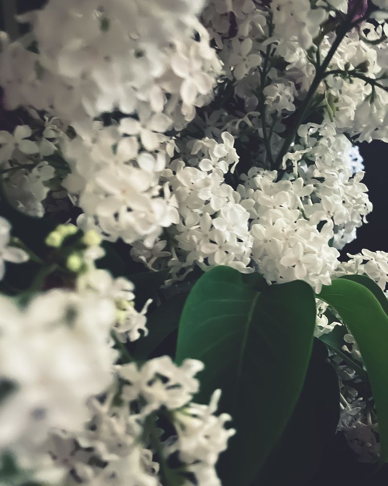 Photograph by Максим Зенкевич