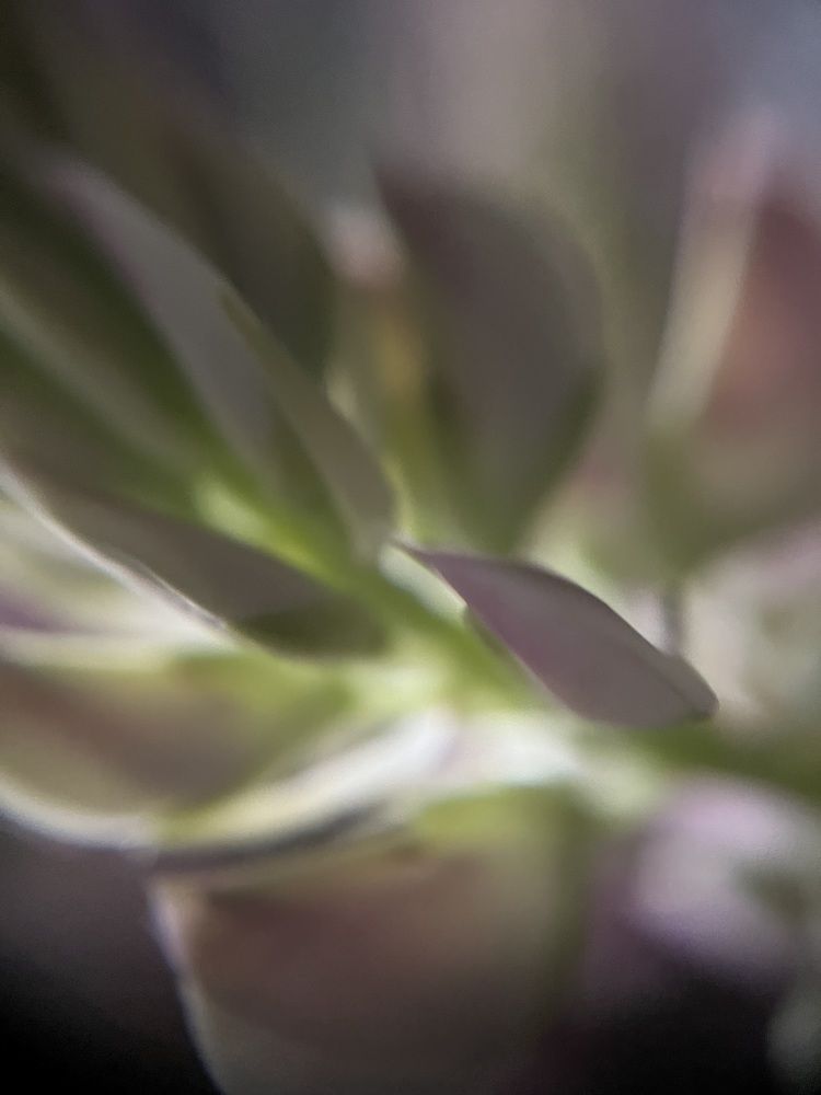 Photograph by Максим Зенкевич