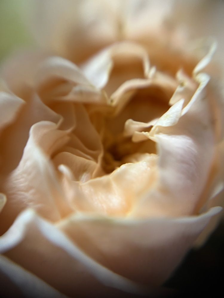 Photograph by Максим Зенкевич