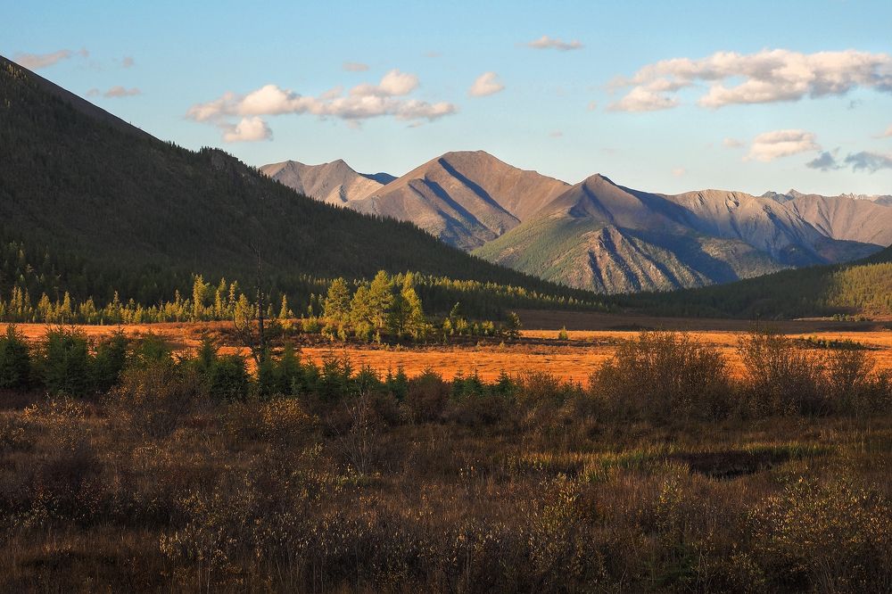 Photograph by Александр Попов