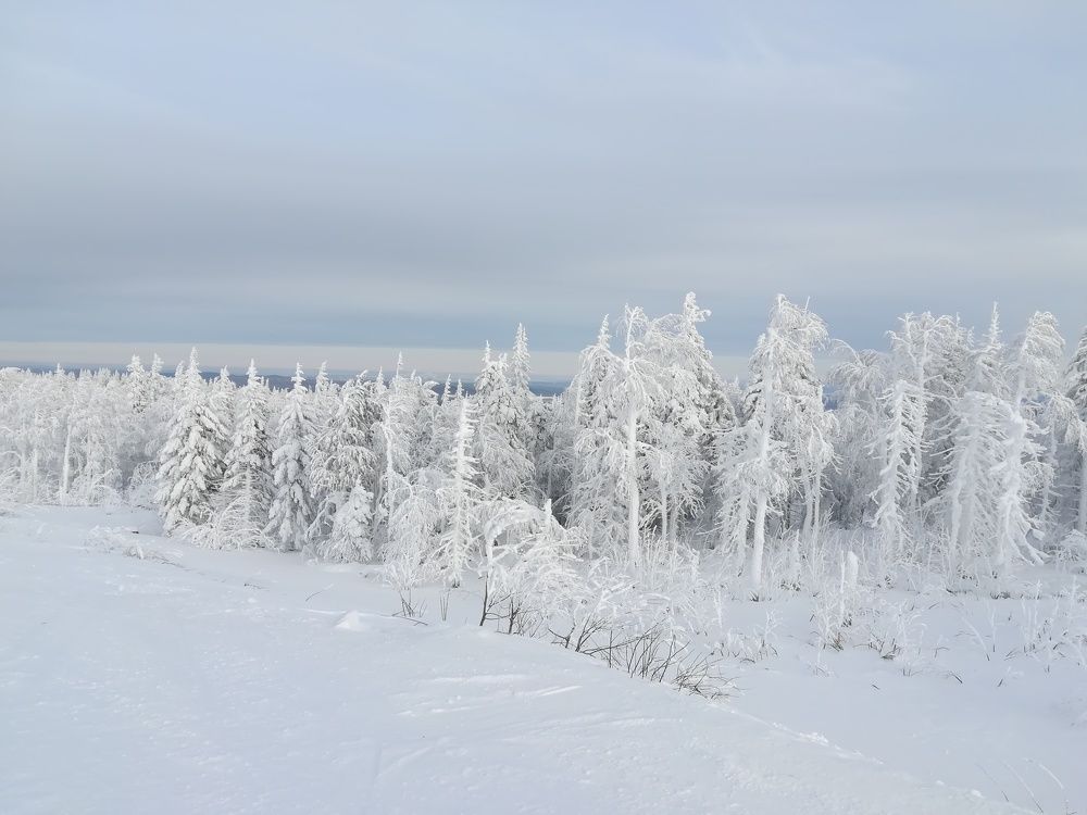Photograph by Елена Бессонова