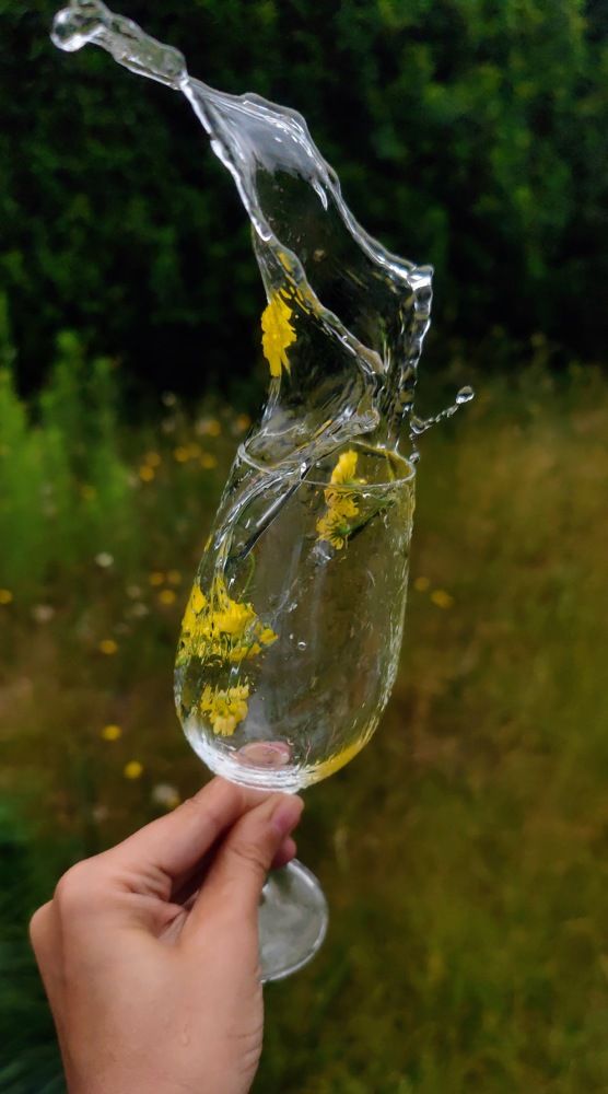 Фотография автора Liudmila Hnedzka