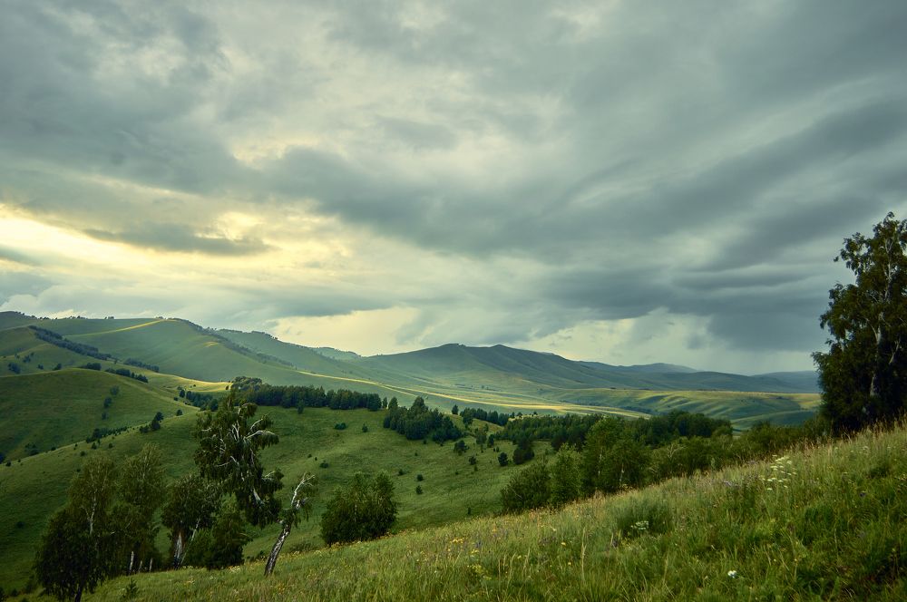 Photograph by Татьяна