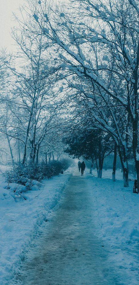 Photograph by Дмитрий Педченко