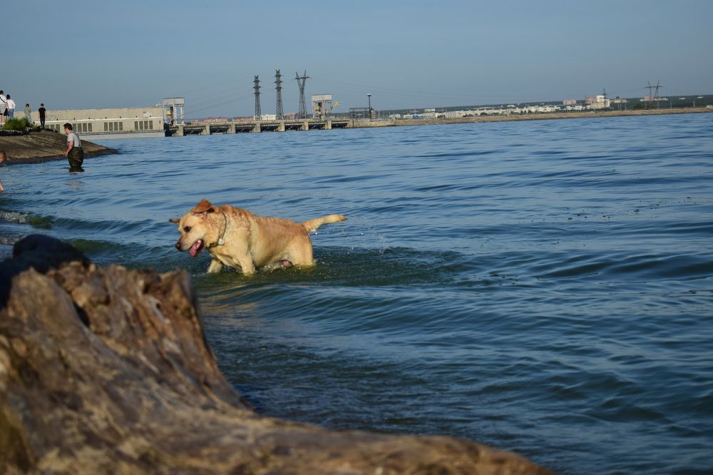 Photograph by Наталья Еременко
