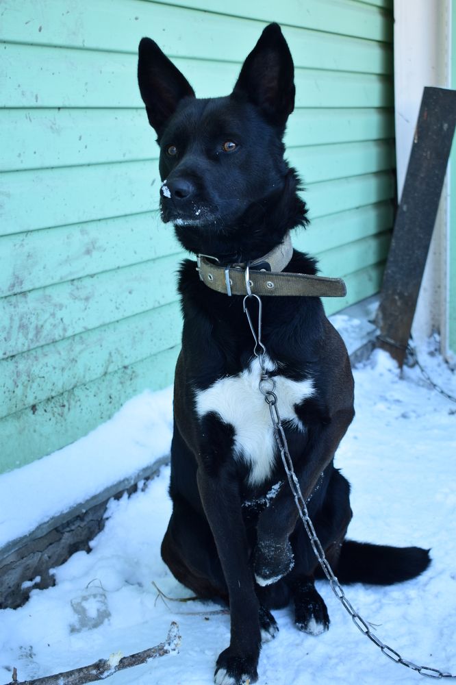 Photograph by Наталья Еременко